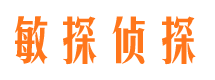 孙吴职业捉奸人